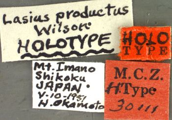 Media type: image; Entomology 30111   Aspect: labels